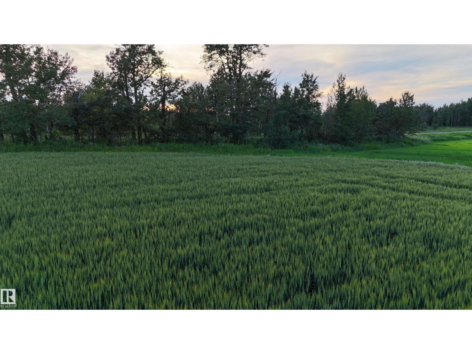 Photo 17 of 51411 Rr 233, Rural Strathcona County AB