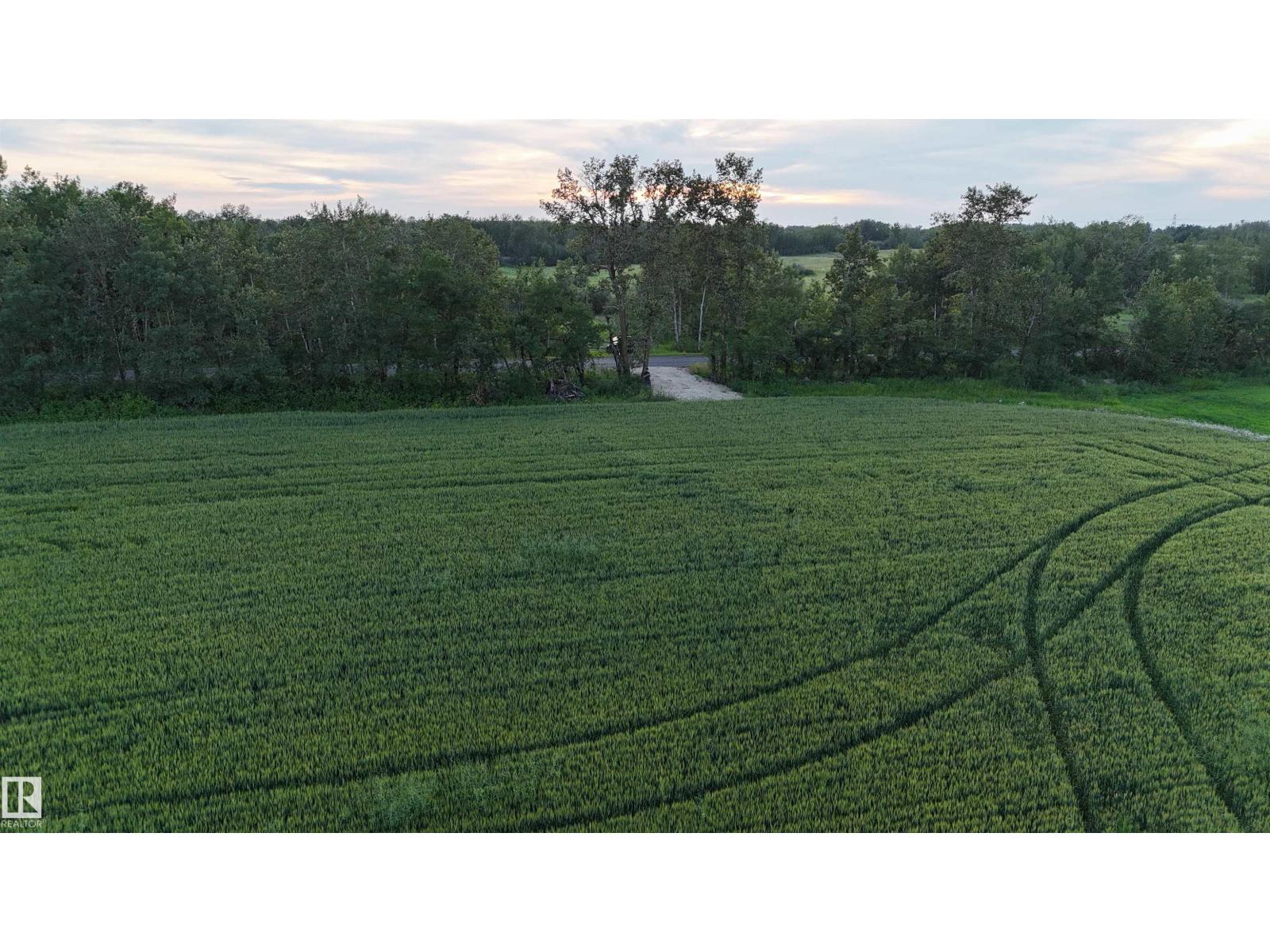 Photo 8 of 51411 Rr 233, Rural Strathcona County AB