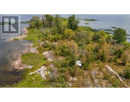 0 Island 64, 64h & 65, Georgian Bay, ON L0K1S0 Photo 10