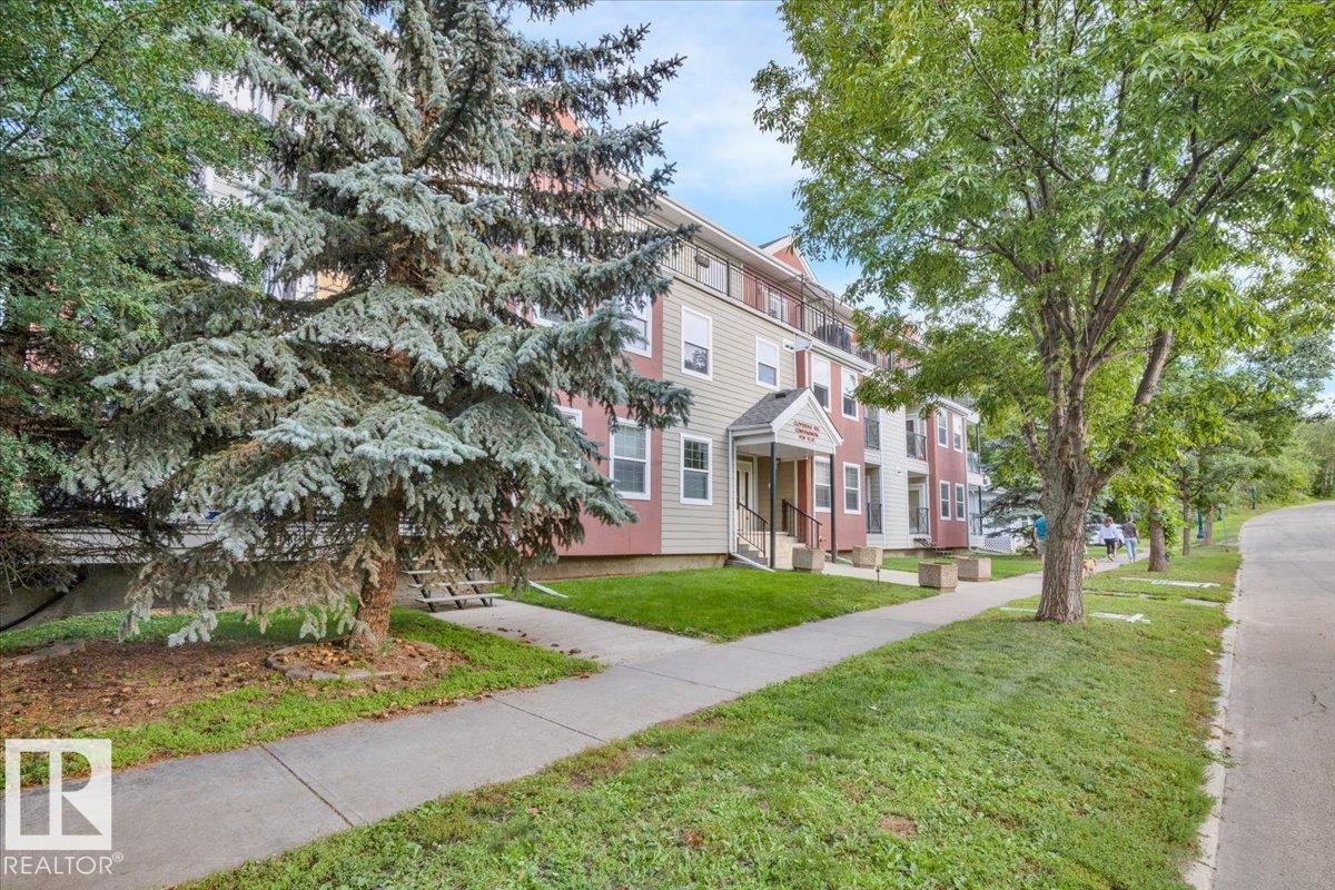 Photo 6 of 207 9739 92 St Nw, Edmonton AB