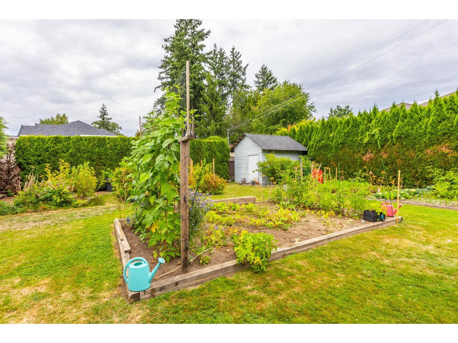 Photo 6 of 12069 97 Avenue, Surrey BC