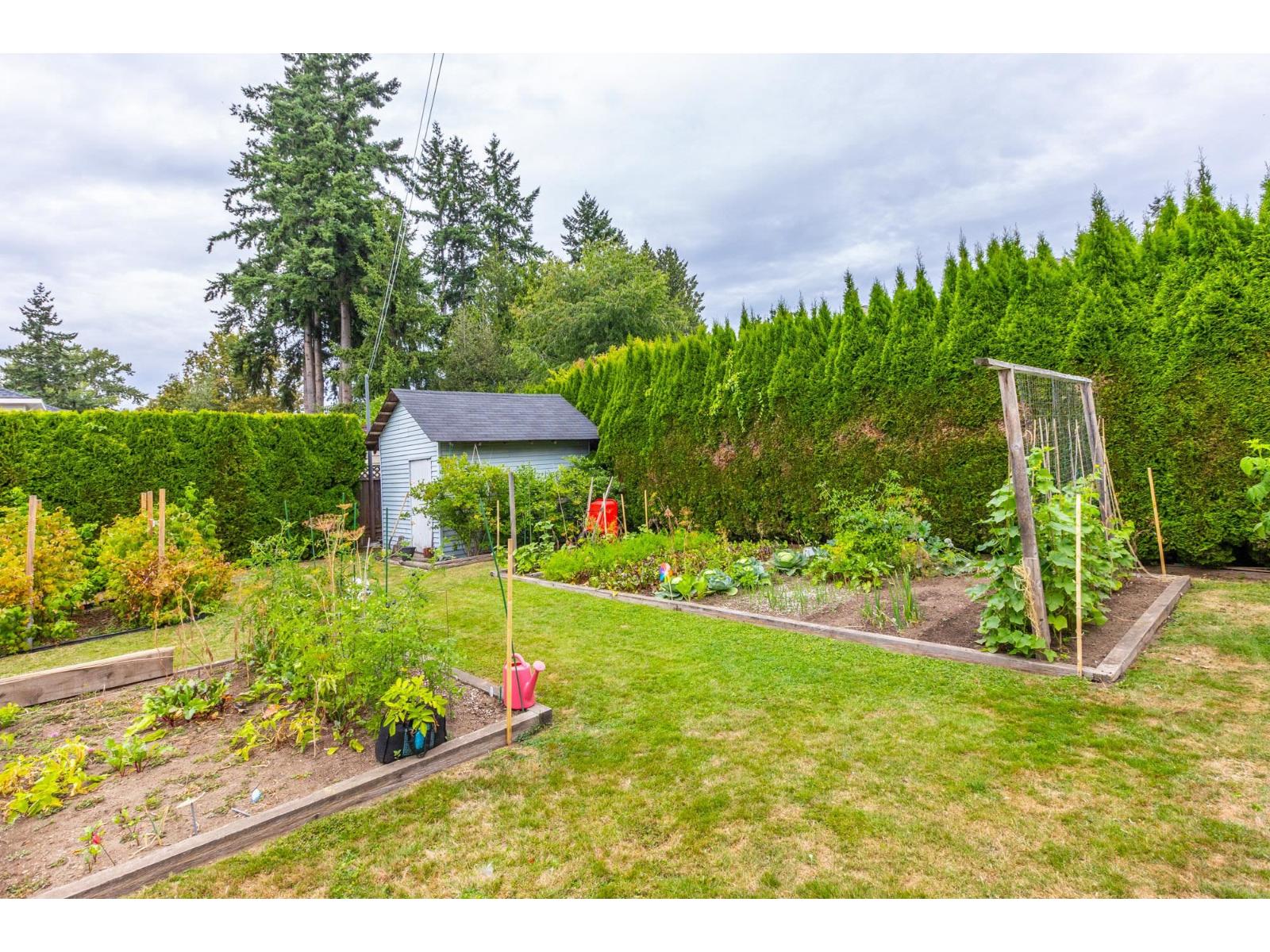 Photo 30 of 12069 97 Avenue, Surrey BC