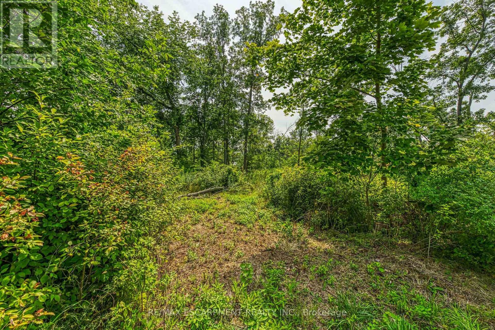 Photo 9 of 394 Lakeshore Road, Haldimand ON
