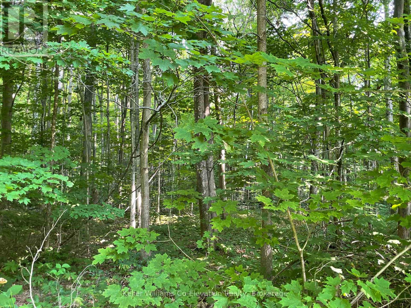 Photo 4 of Lot 24 Crooked Creek Crescent, Tiny ON