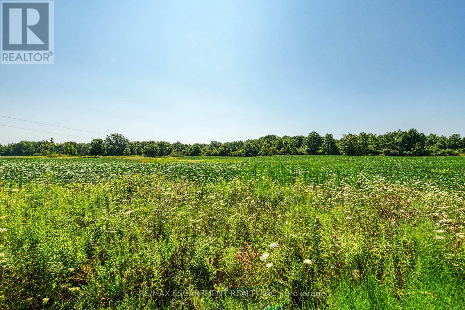 Photo 14 of 0 2nd Concession Road, Haldimand ON
