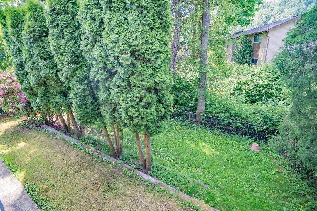 Photo 30 of 35340 Selkirk Avenue, Abbotsford BC