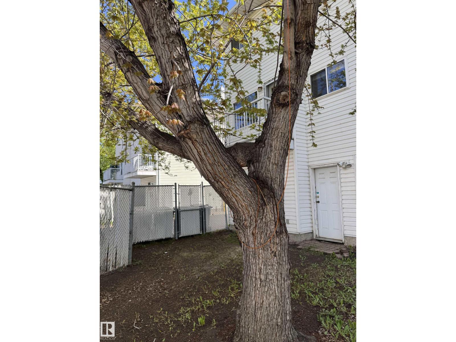 Photo 14 of 8 11718 97 St Nw, Edmonton AB