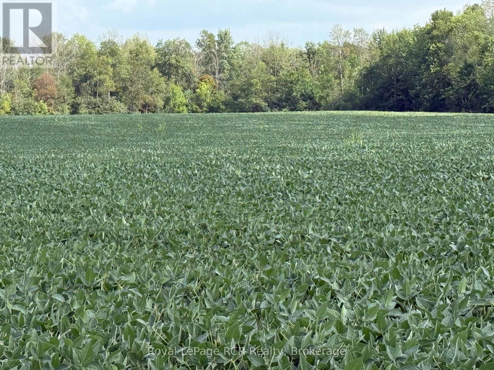 Photo 1 of Lot 25 7 Concession, West Grey ON