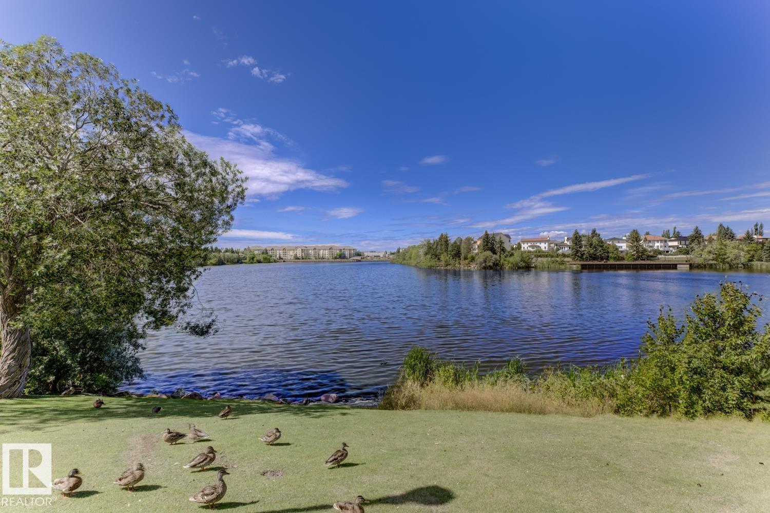 Photo 16 of 206 15503 106 St Nw, Edmonton AB