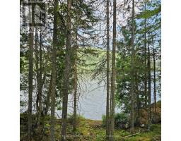 1255 Snake Creek Road, Mattawan, ON P0H1V0 Photo 19