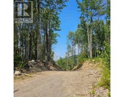 1255 Snake Creek Road, Mattawan, ON P0H1V0 Photo 29