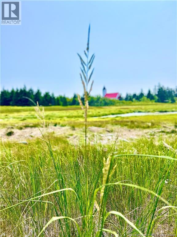 Photo 8 of Lot Miscou Harbour, Miscou NB