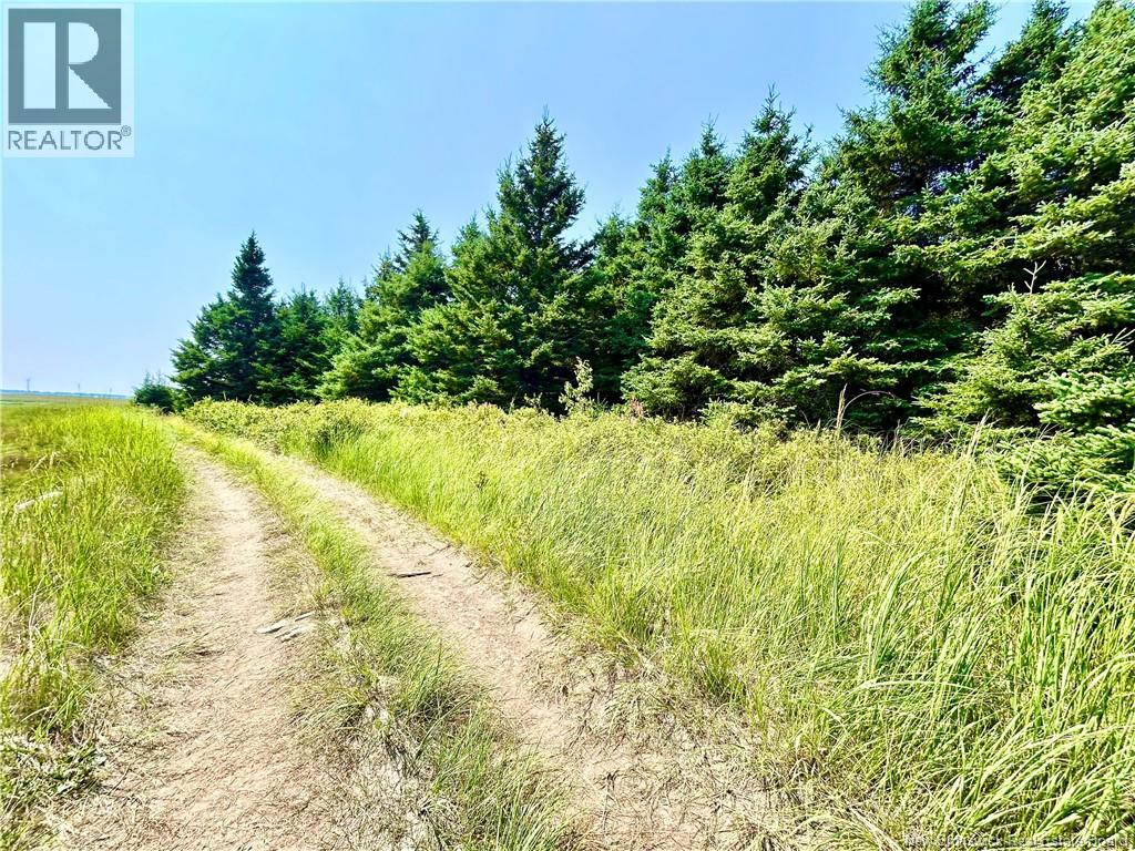 Photo 9 of Lot Miscou Harbour, Miscou NB