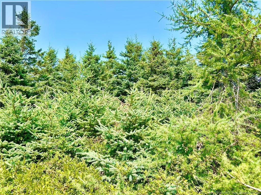 Photo 13 of Lot Miscou Harbour, Miscou NB