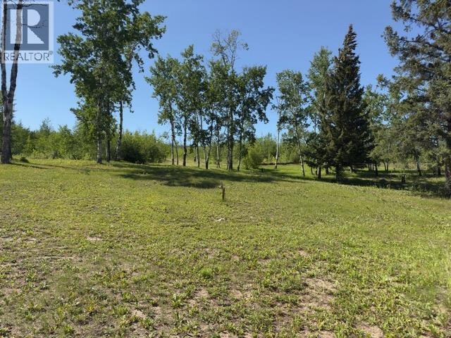 3918 PUNTZI LAKE ROAD, Williams Lake