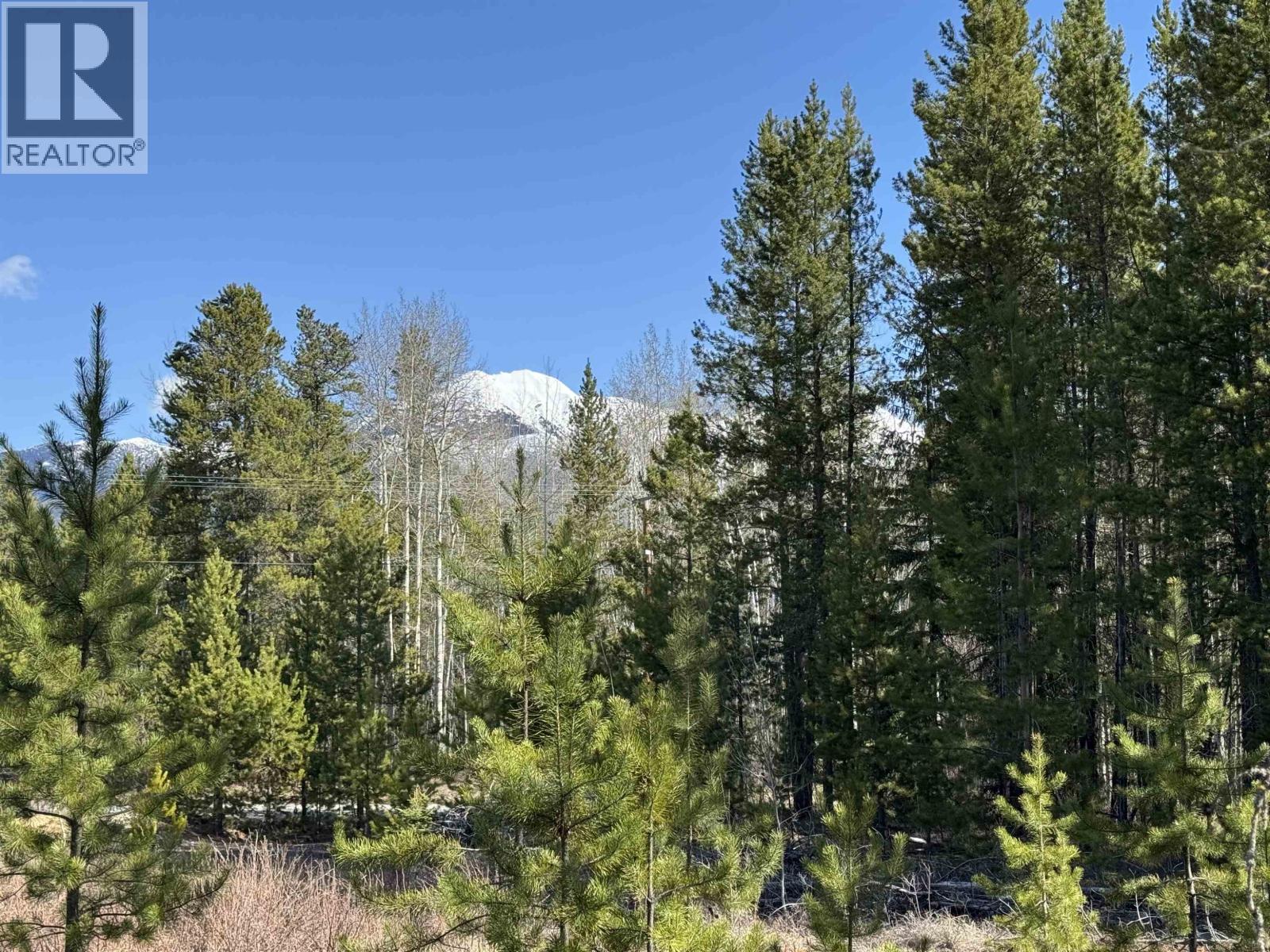 1030 18TH AVENUE, Valemount