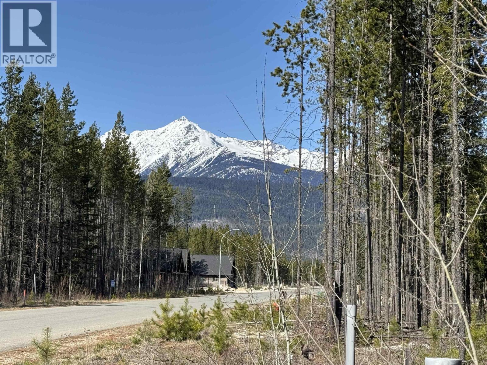 1030 18TH AVENUE, Valemount