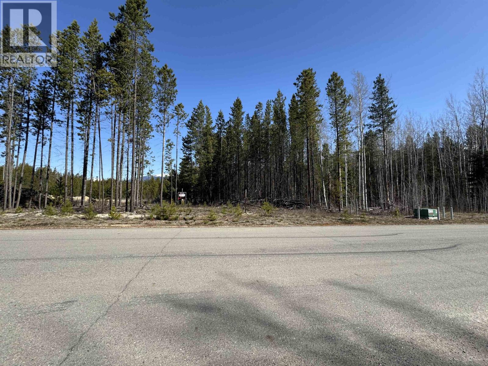 1030 18TH AVENUE, Valemount