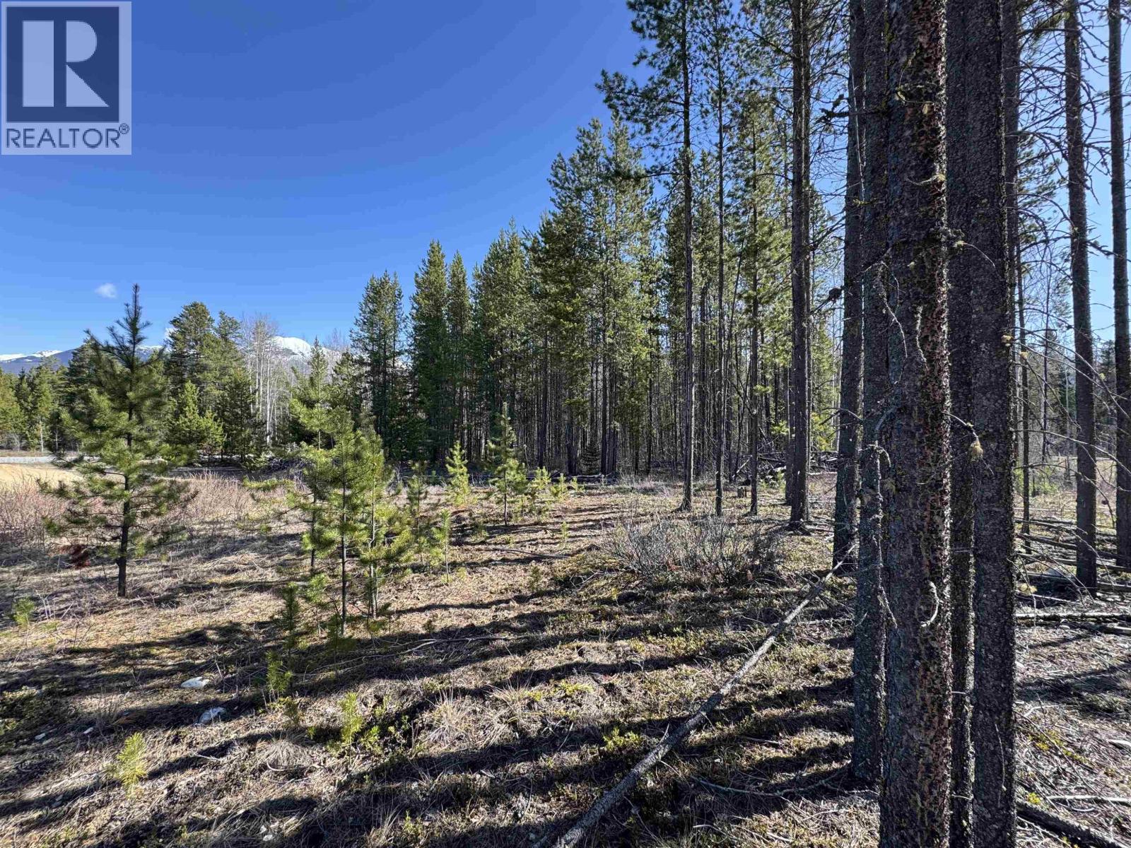 1030 18TH AVENUE, Valemount