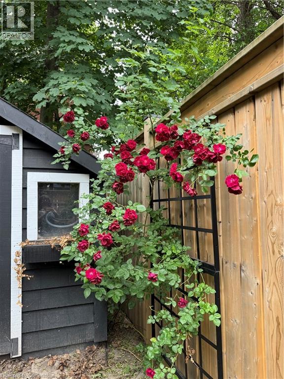 Photo 39 of 261 Homewood Avenue, Hamilton ON