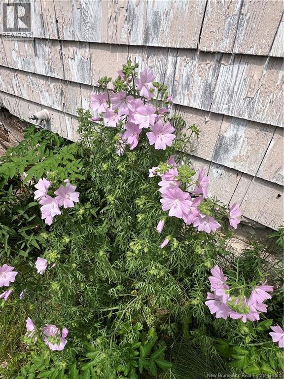Photo 3 of 2048 Route 845, Summerville NB