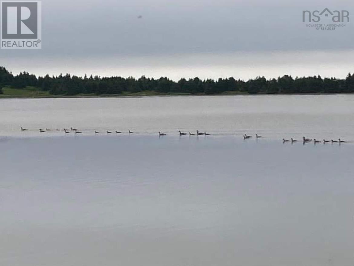 Property 10 of 30 of 899 Westside Grand River Road