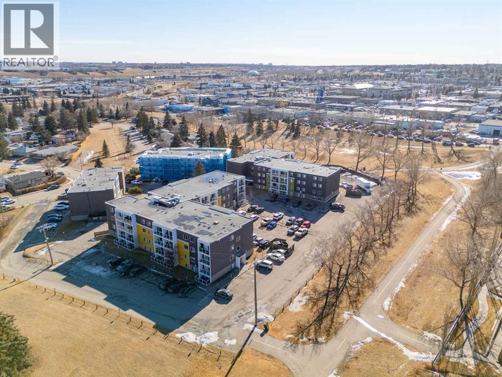 Single Family House for Sale in  C Greenview Drive NE Greenview Calgary 