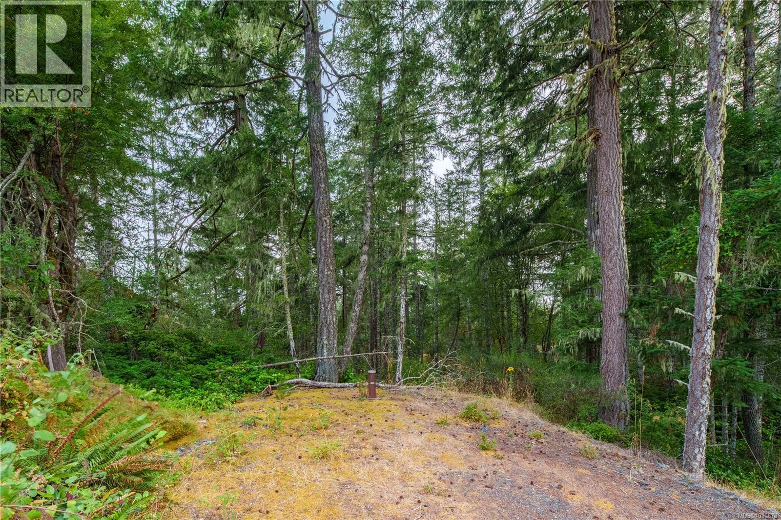 5005 Sooke Hanger Drive, Sooke