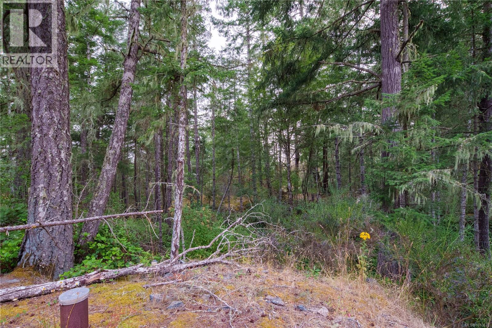  5005 Sooke Hanger Drive, Sooke