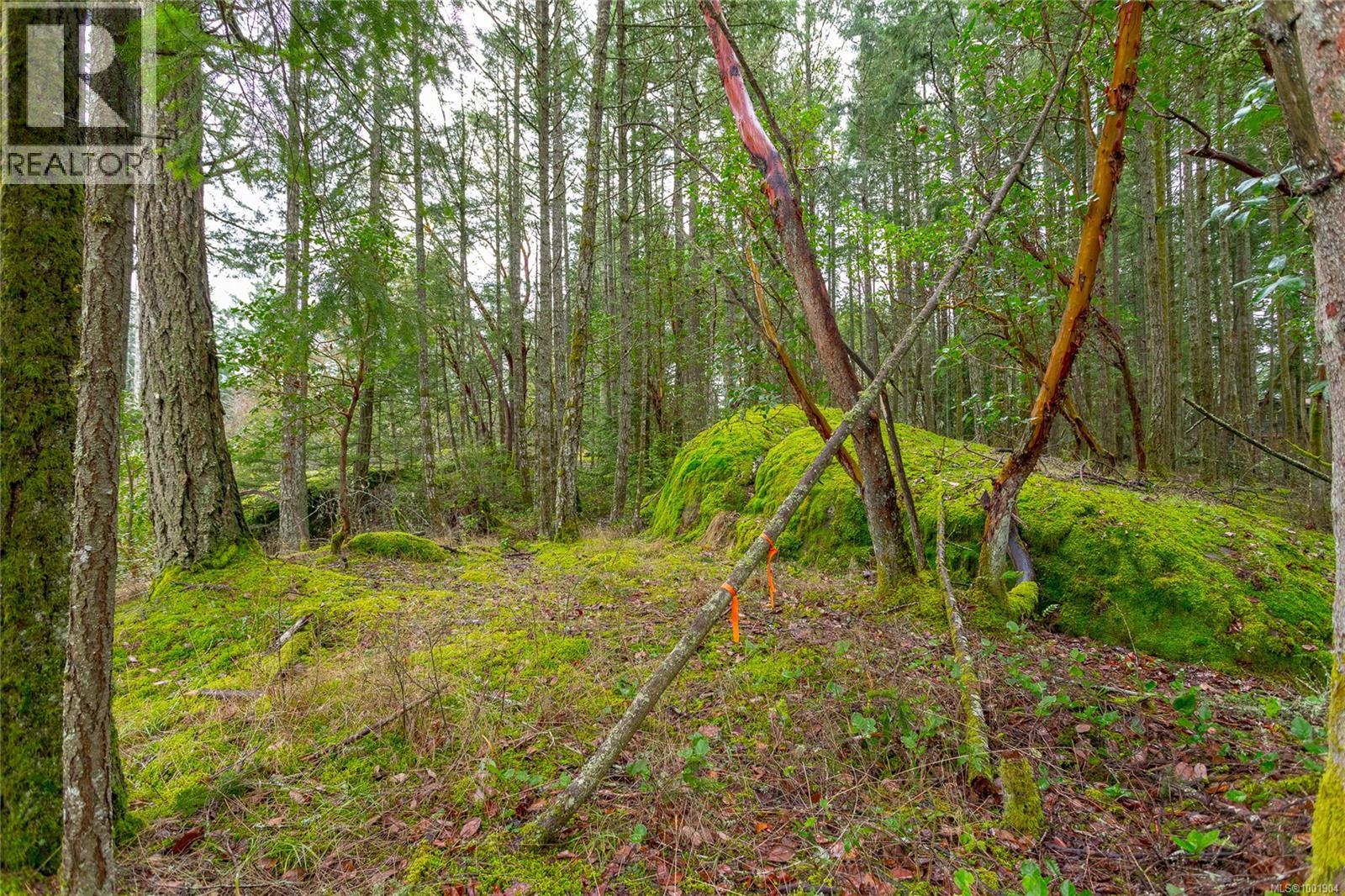 Photo 7 of 872 Walfred Rd, Langford BC