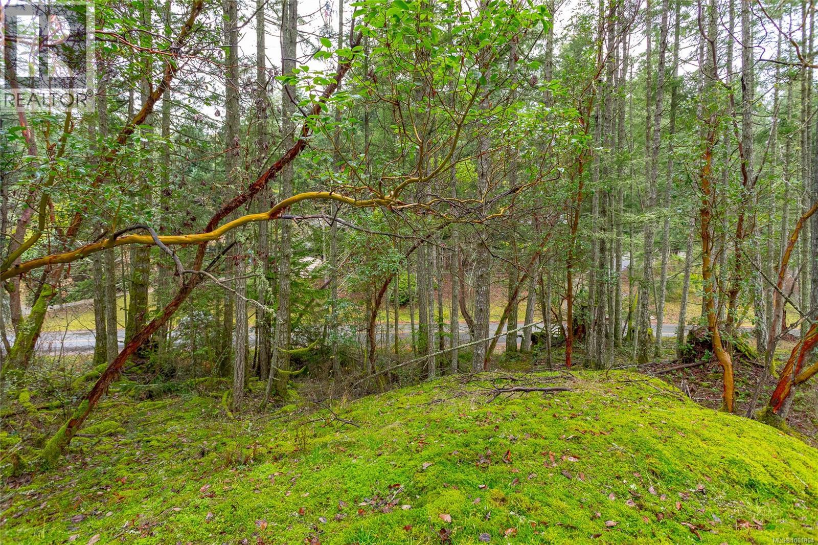 Photo 8 of 872 Walfred Rd, Langford BC