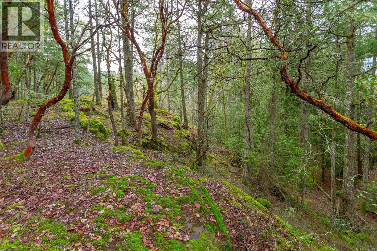 Photo 9 of 872 Walfred Rd, Langford BC