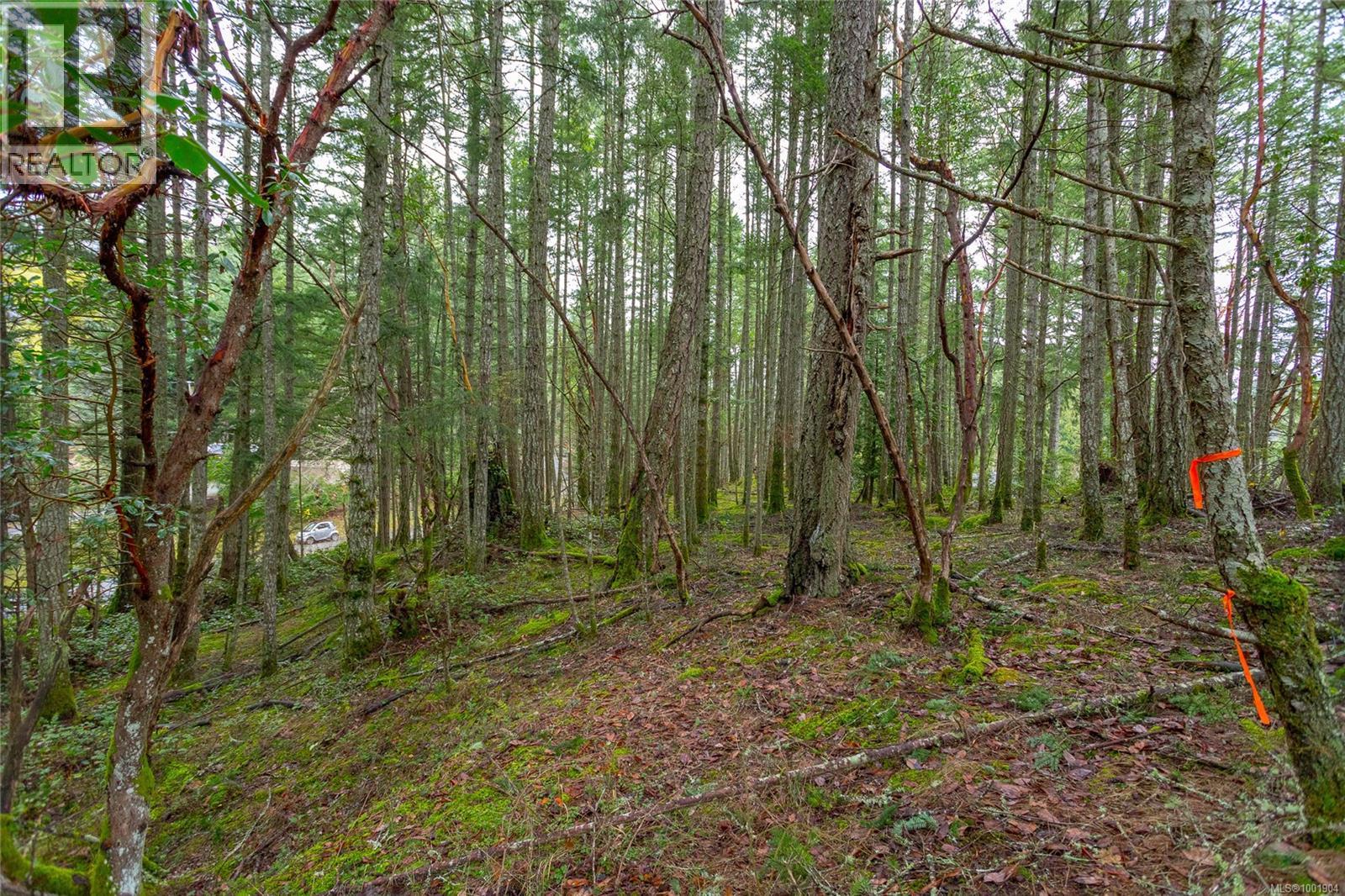 Photo 4 of 872 Walfred Rd, Langford BC