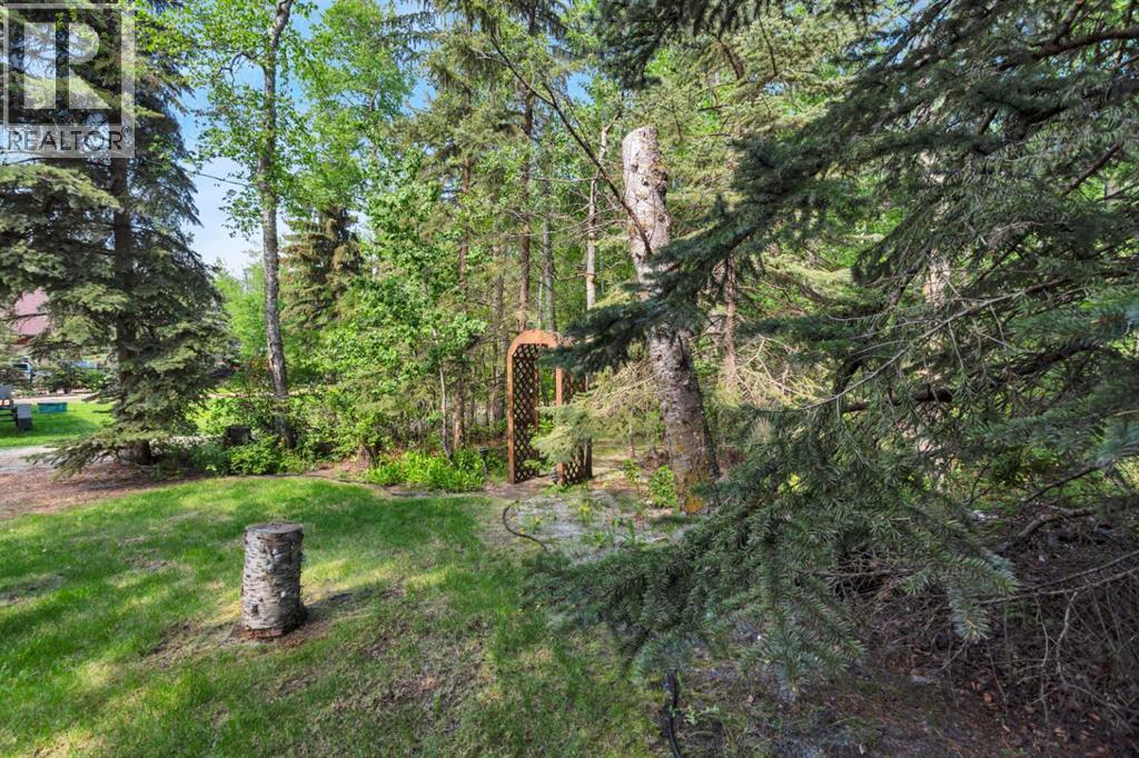 Photo 5 of 133 Birchcliff Road, Birchcliff AB
