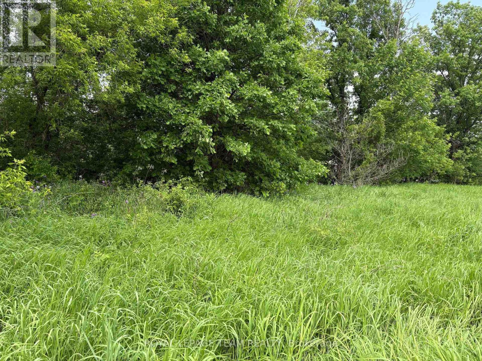Photo 4 of 161 Old Pakenham Road, Ottawa ON