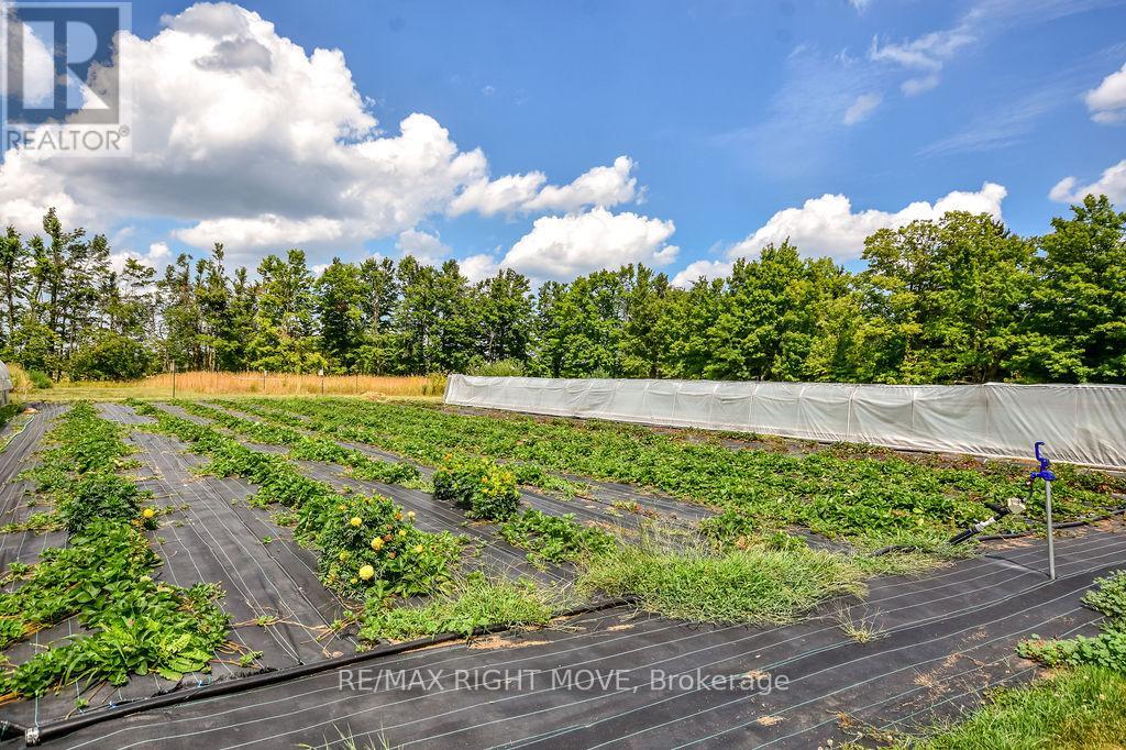 Photo 9 of 3682 Line 11 N, Oromedonte ON