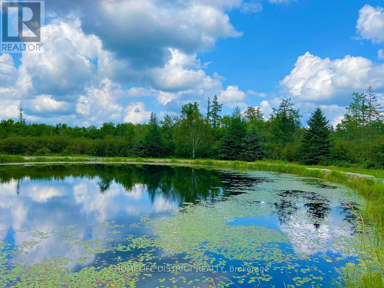 Photo 4 of 567 Reid Street, Trent Lakes ON