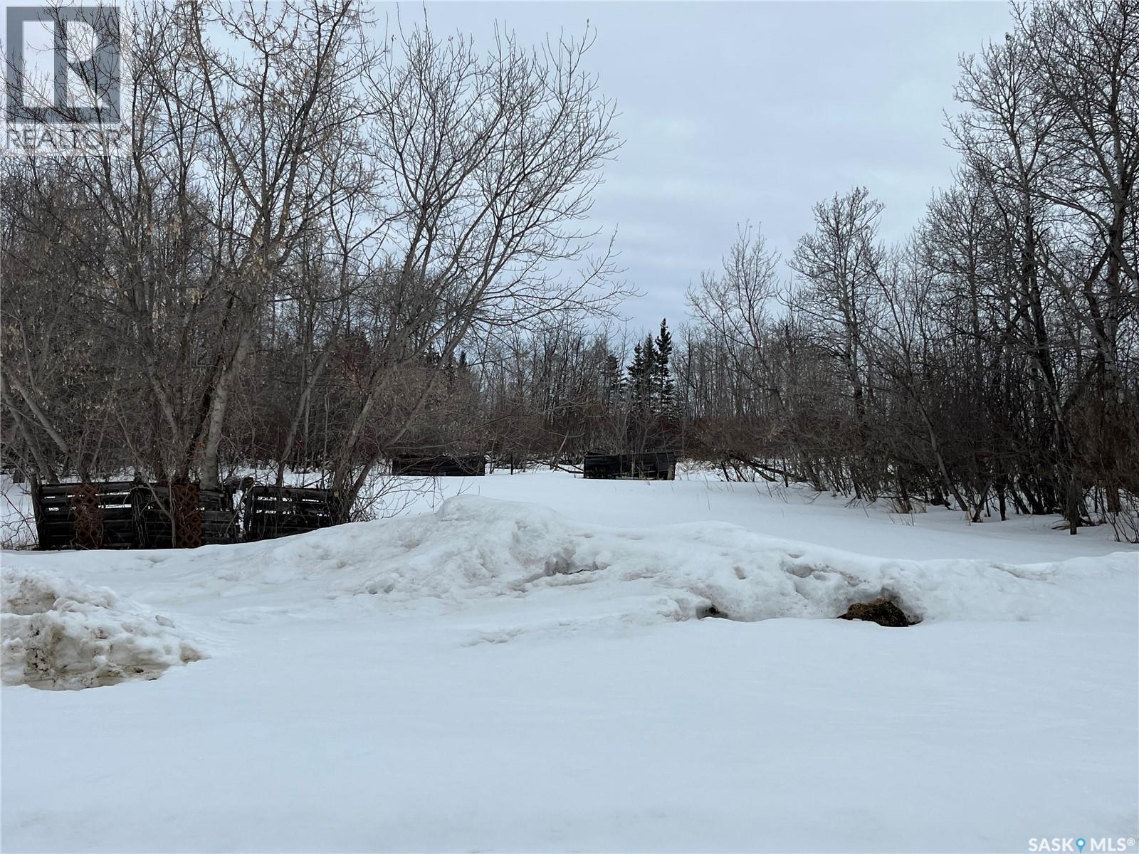 Photo 22 of Rural Address, Rose Valley SK