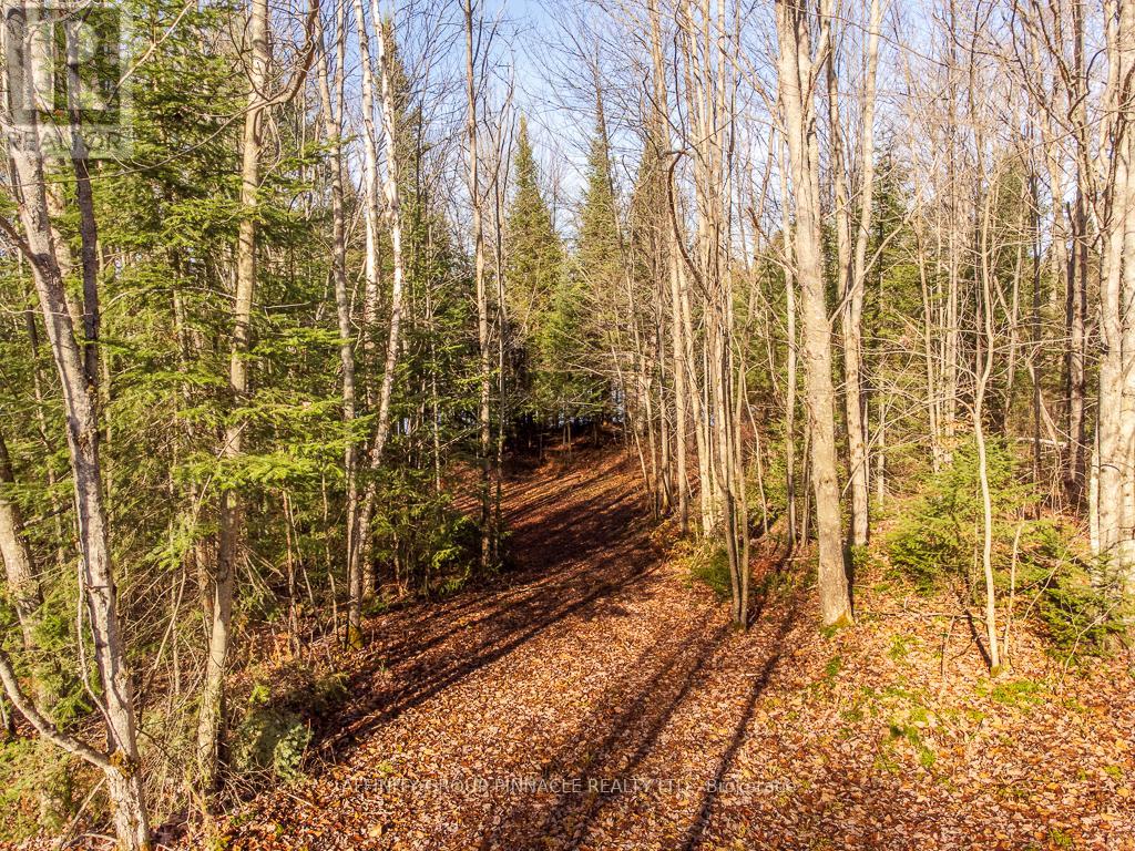 Photo 4 of Lot 7 Comfort Drive, Highlands East ON