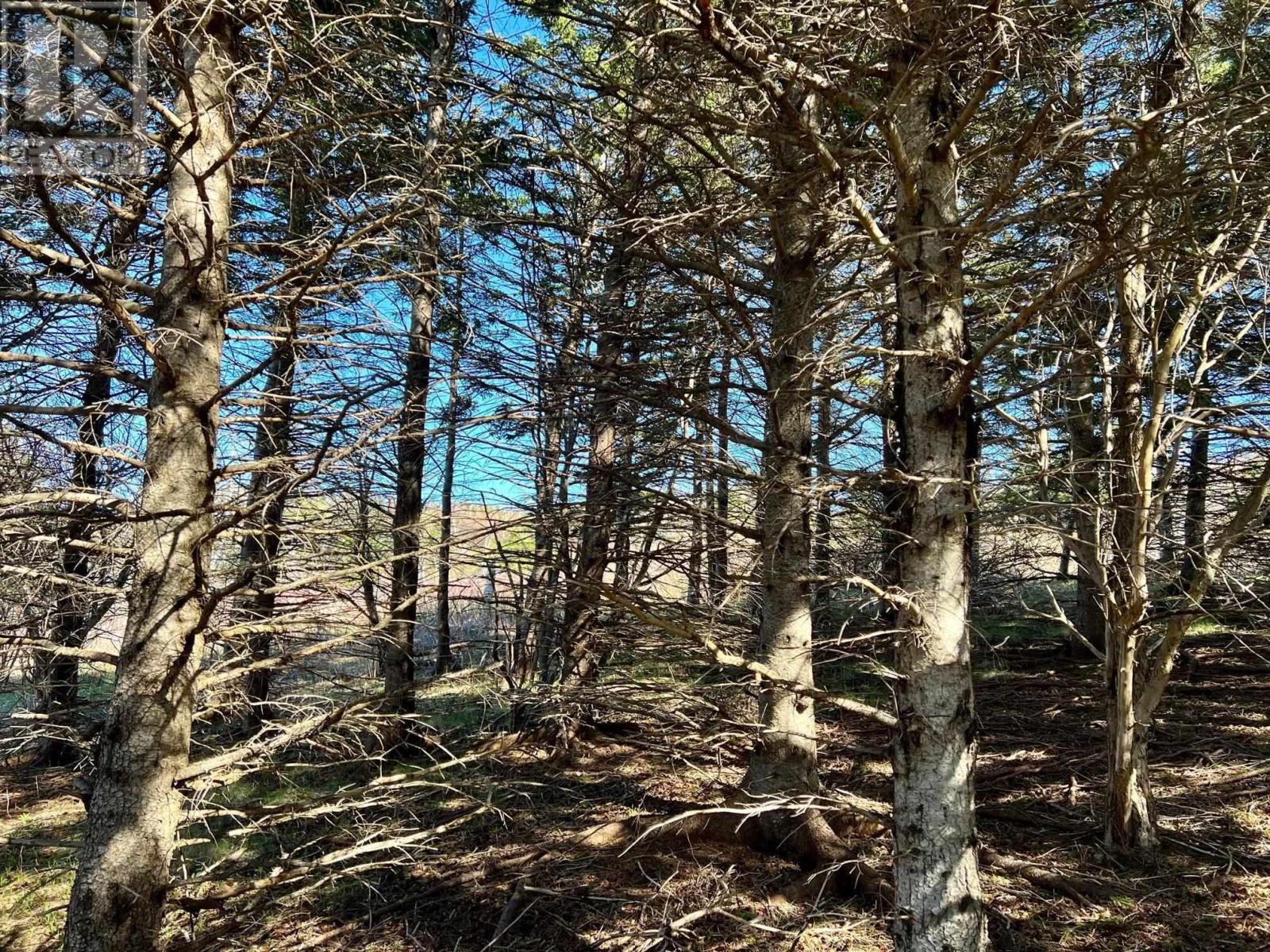 Property 9 of 17 of 11838 Cabot Trail