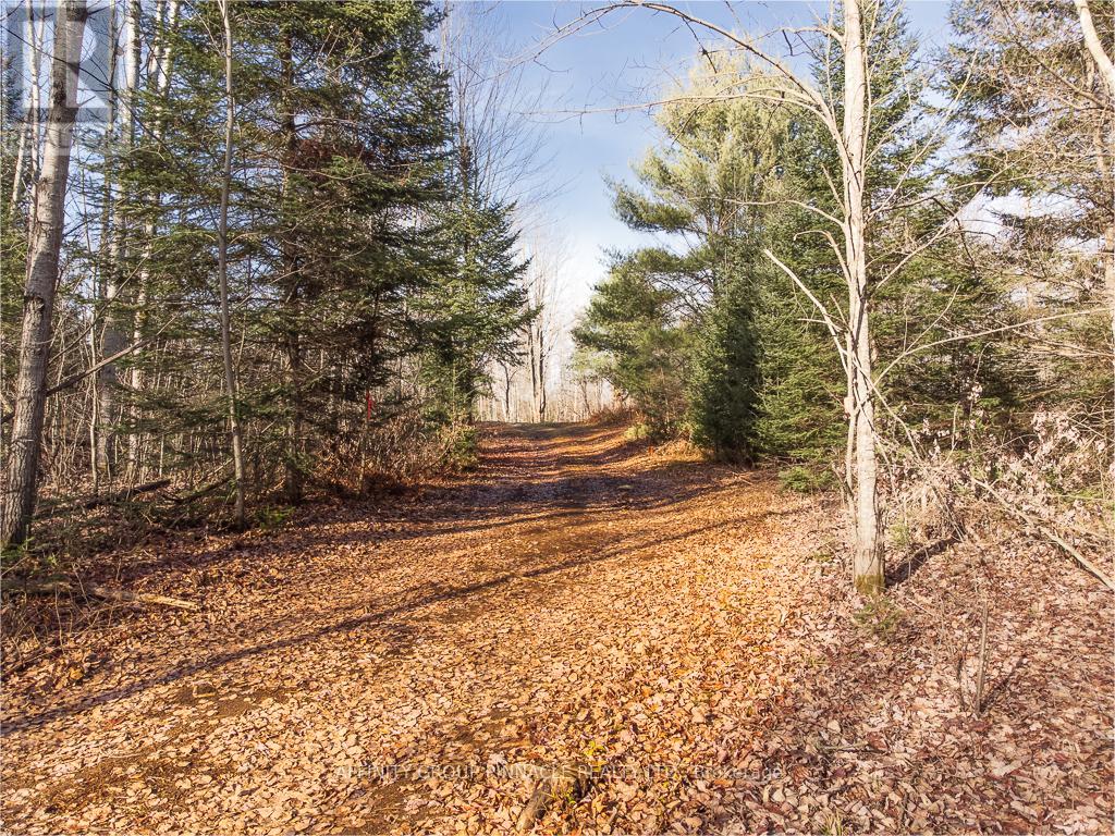 Photo 5 of Lot 8 Comfort Drive, Highlands East ON