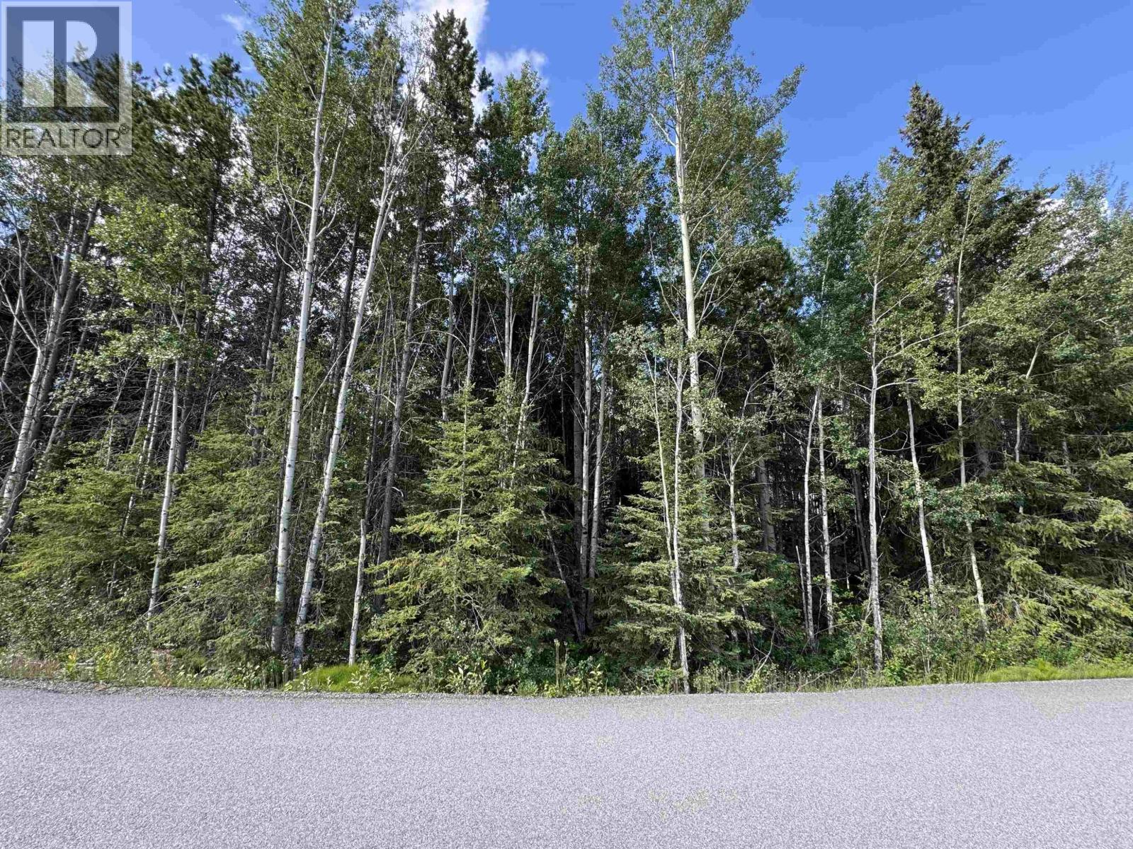 1015 18TH AVENUE, Valemount