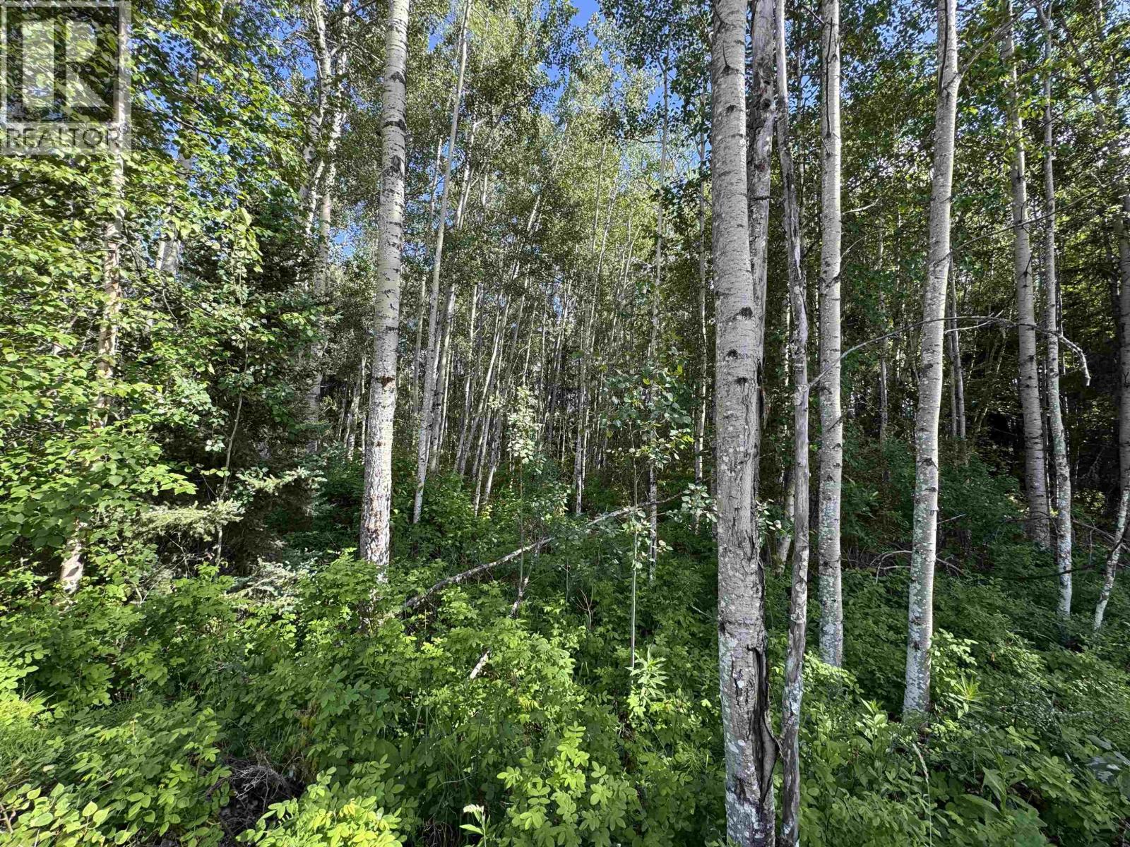 1015 18TH AVENUE, Valemount