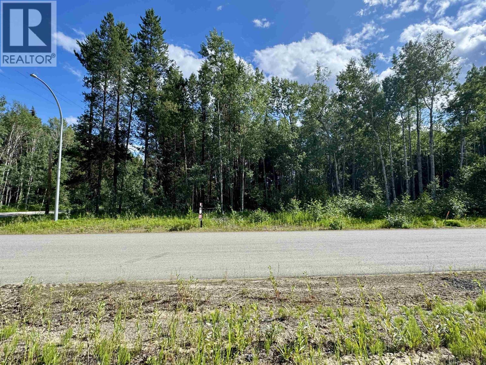 1005 18TH AVENUE, Valemount