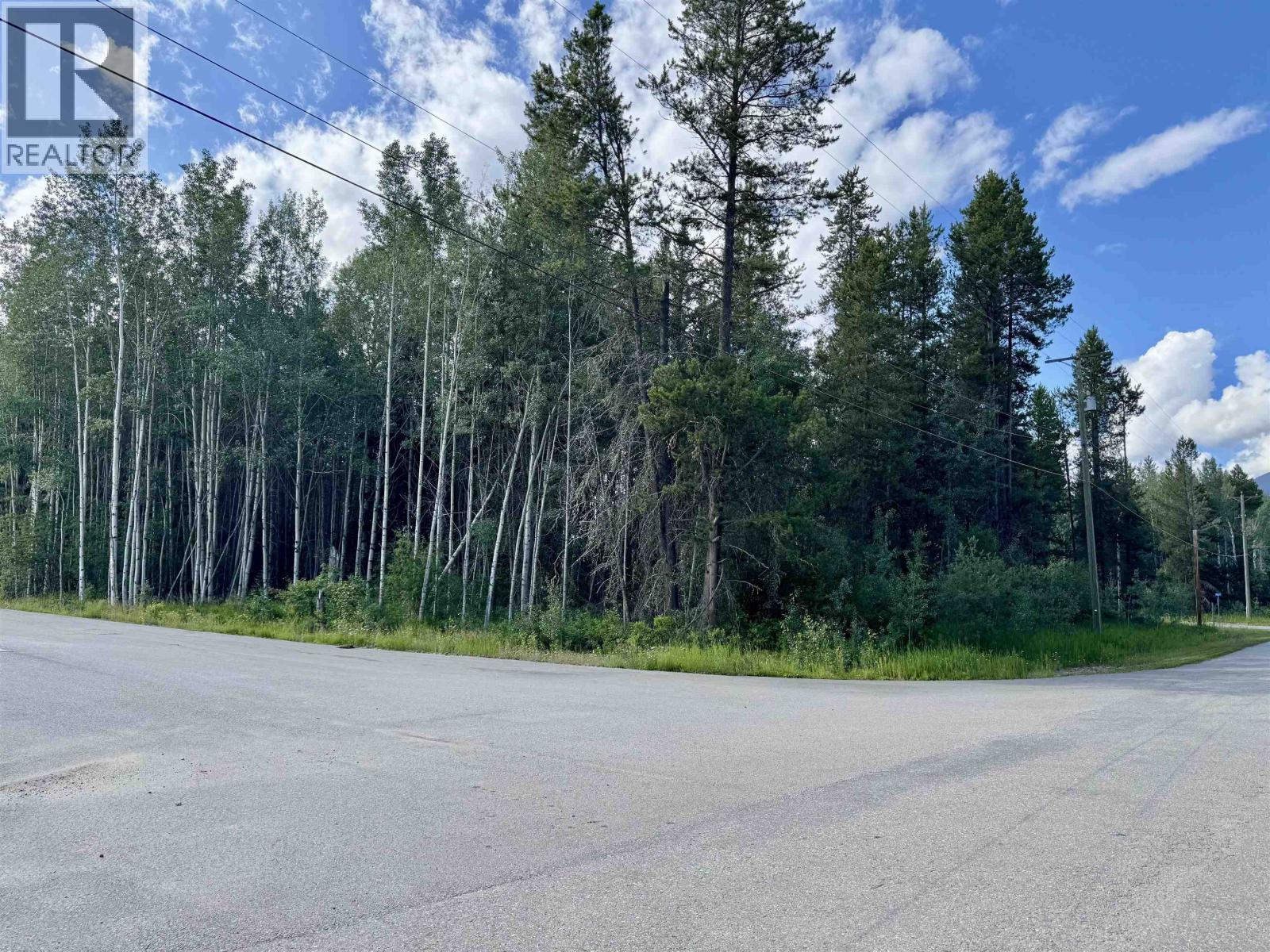 1005 18TH AVENUE, Valemount