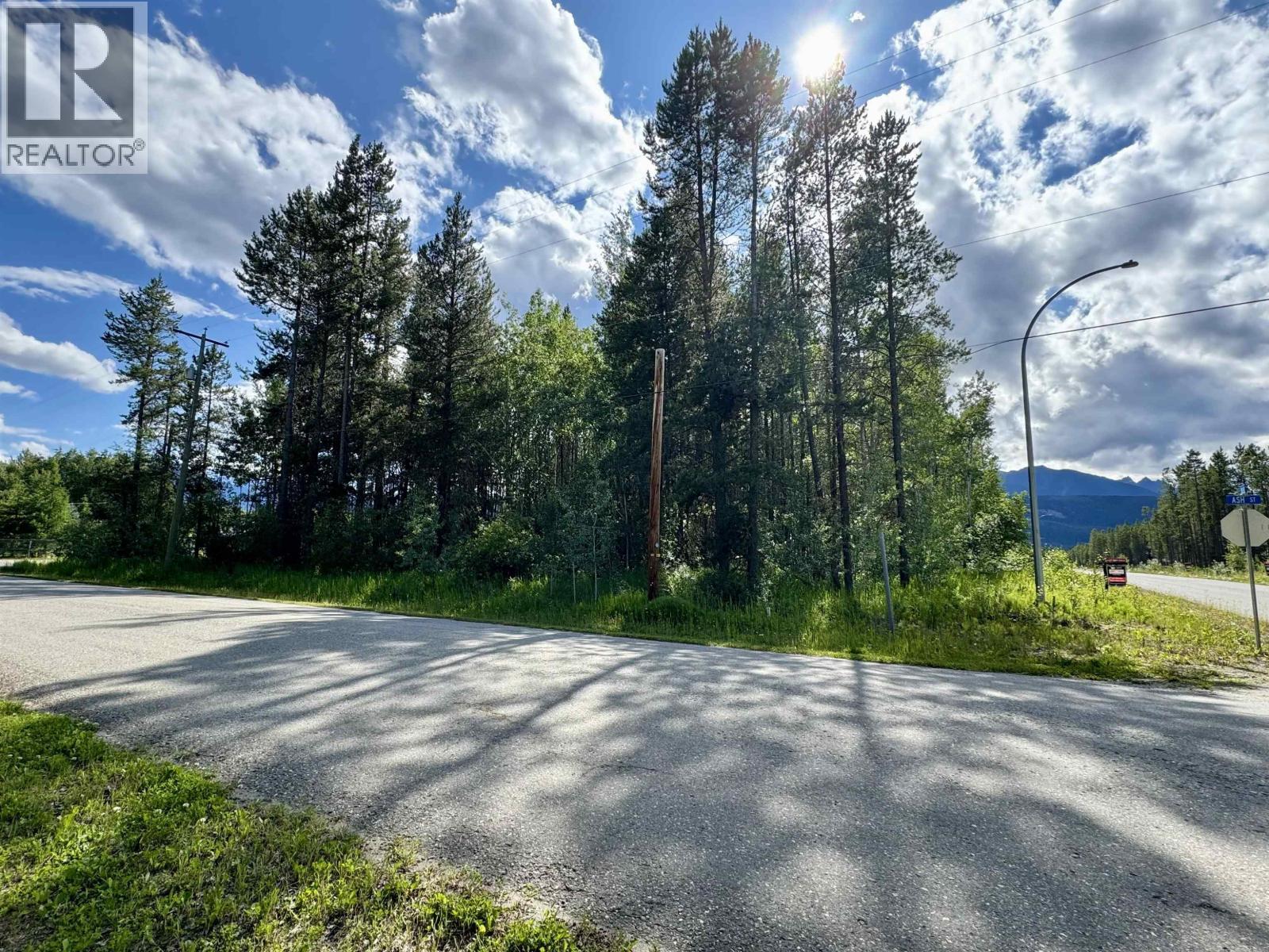 1005 18TH AVENUE, Valemount