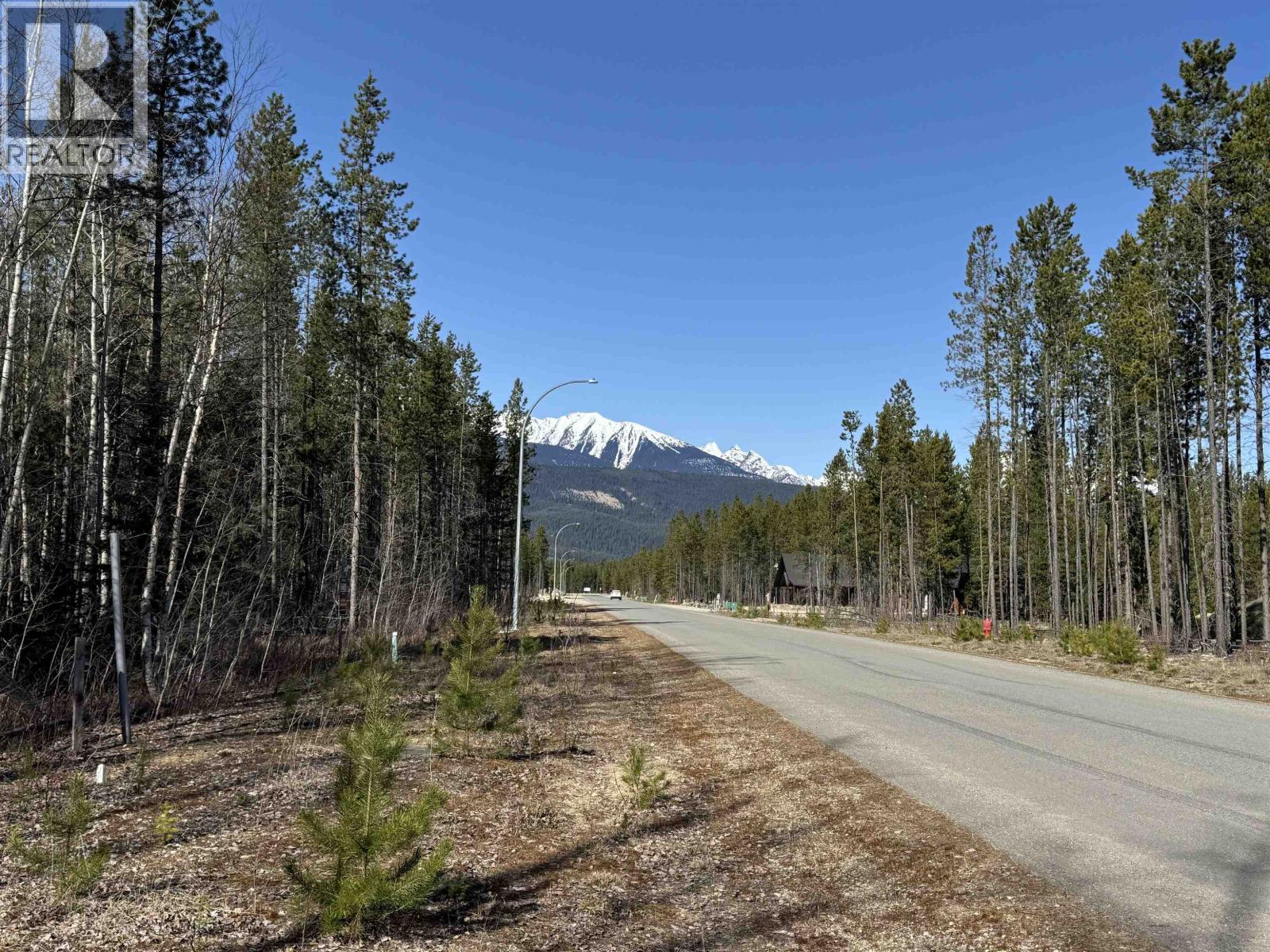 1005 18TH AVENUE, Valemount