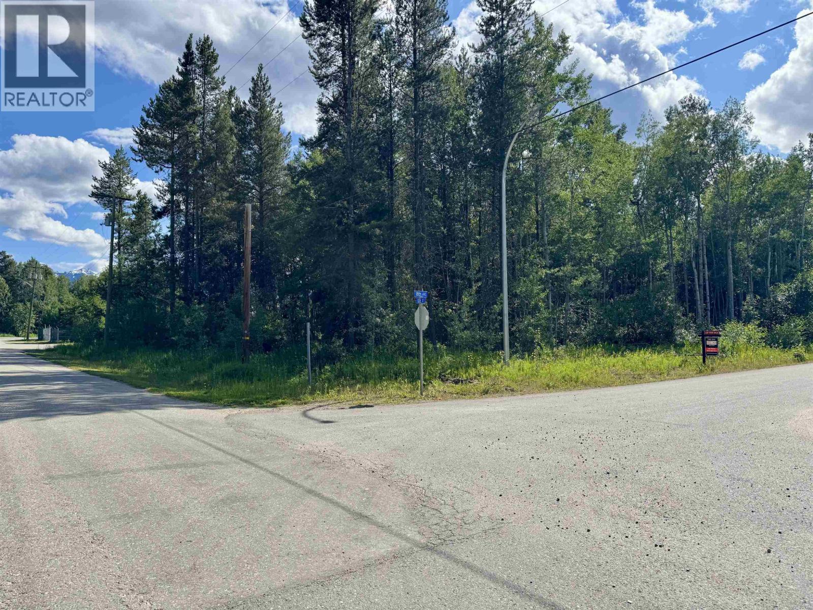 1005 18TH AVENUE, Valemount