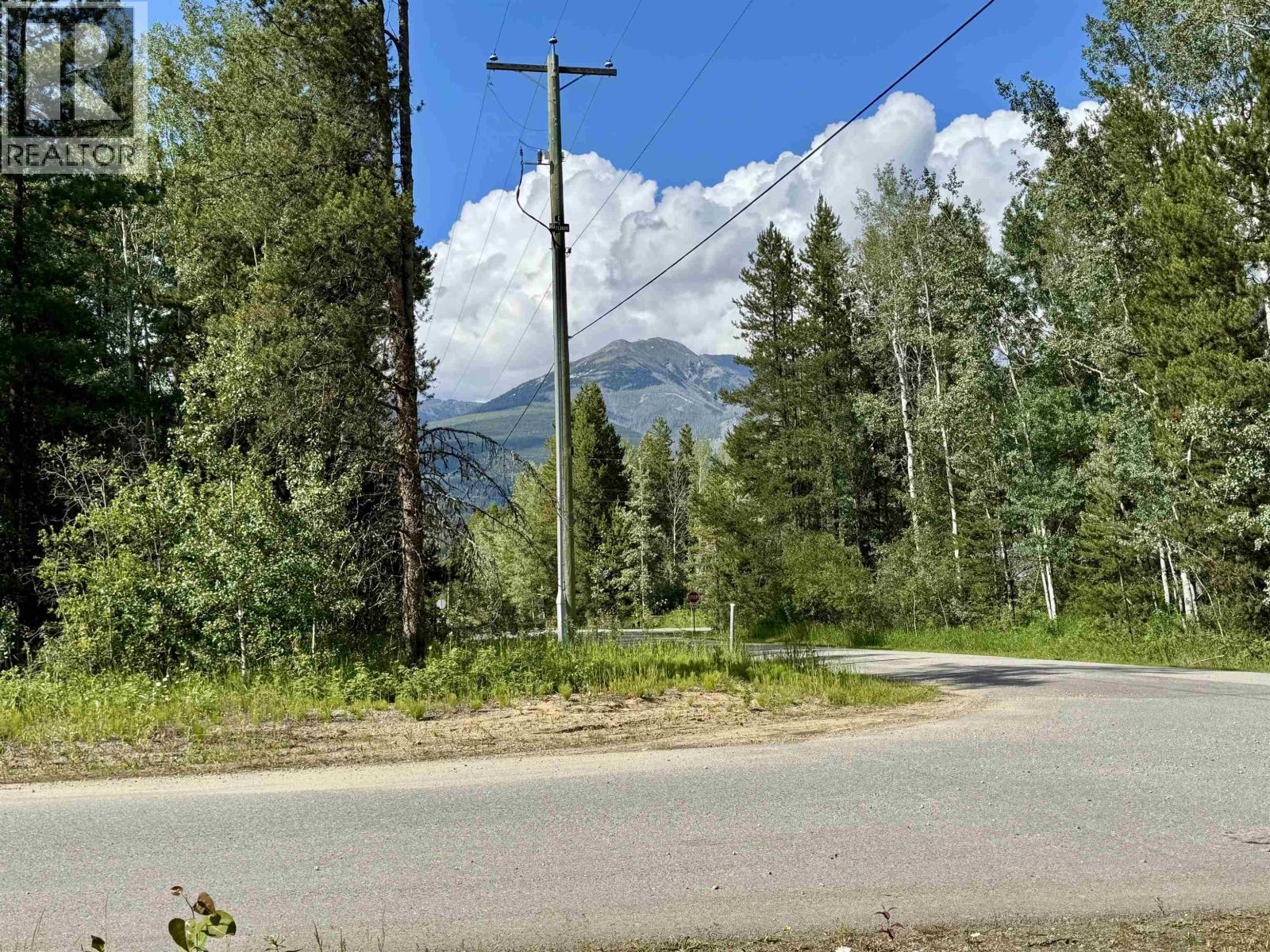 1005 18TH AVENUE, Valemount