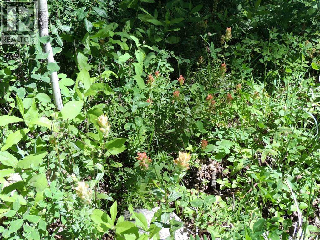 Photo 10 of Lot 33 Wapiti River Sw 21 69 10 W 6, Rural Grande Prairie No 1 County Of AB